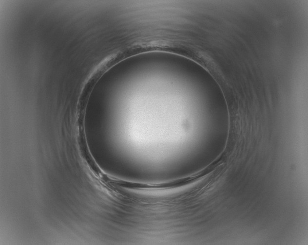 X0000054360395200508121519