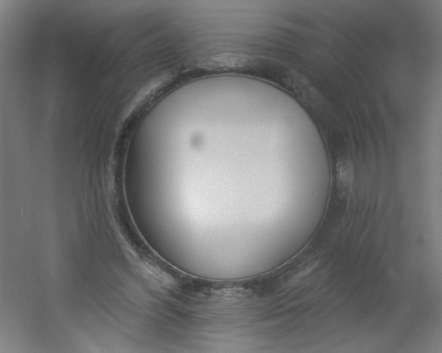 X0000054360396200508121519