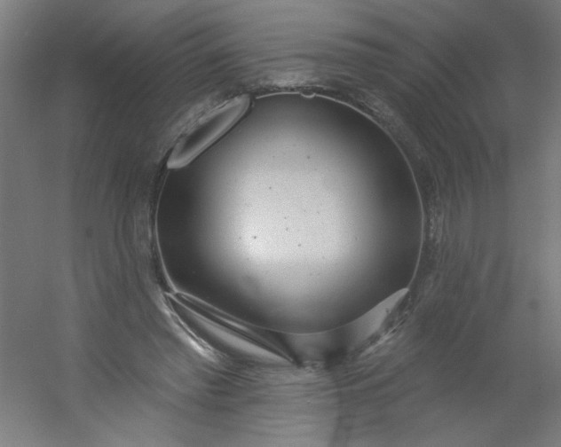 X0000054360397200508121519