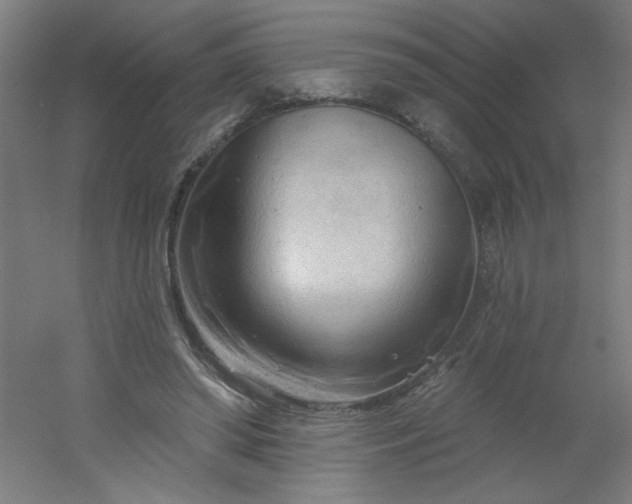 X0000054360398200508121519