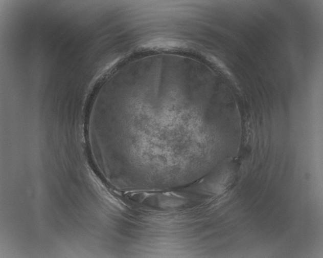 X0000054360399200508121519