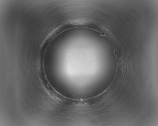 X0000054360400200508121519