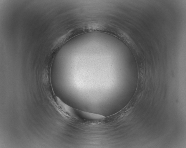 X0000054360401200508121519