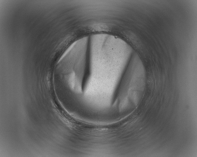 X0000054360402200508121519