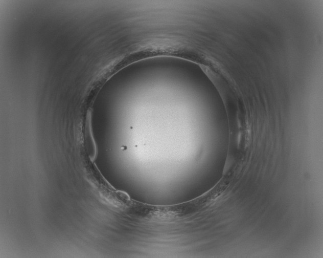 X0000054360403200508121519