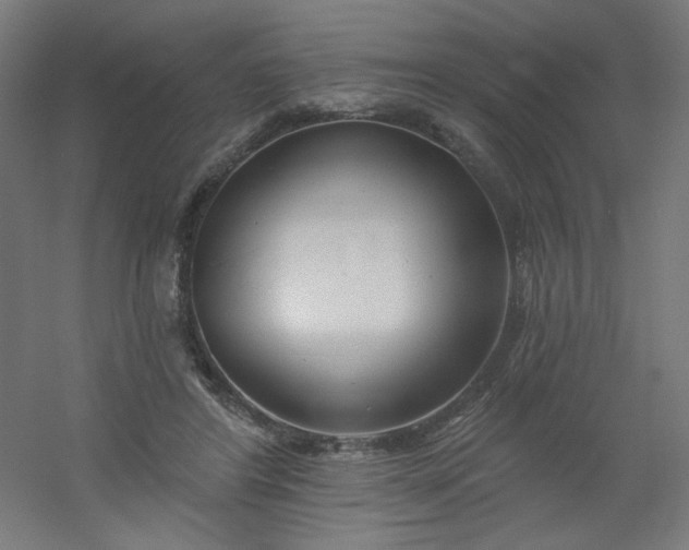 X0000054360404200508121519