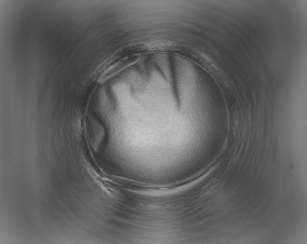 X0000054360405200508121519