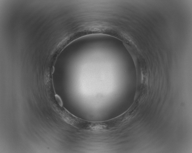 X0000054360407200508121519