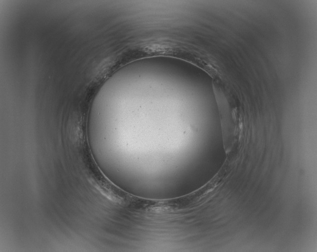 X0000054360408200508121519