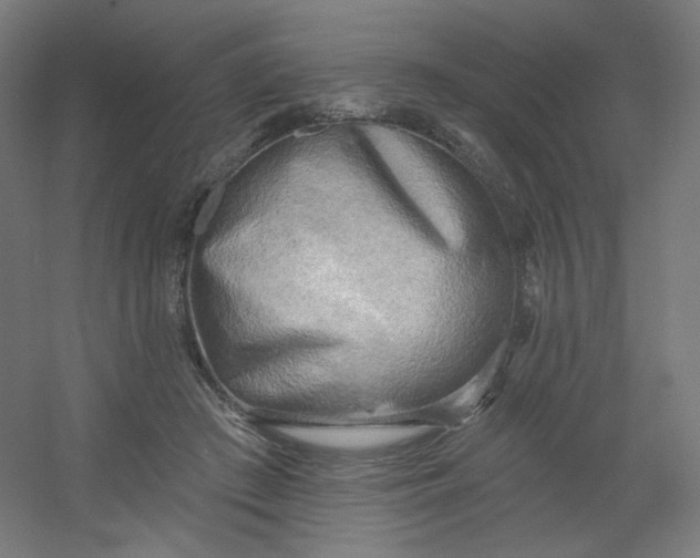 X0000054360409200508121519
