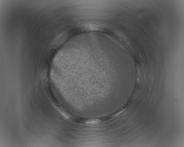 X0000054360410200508121519