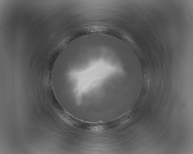 X0000054360411200508121519