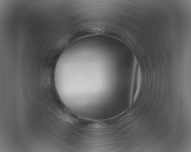 X0000054360412200508121519
