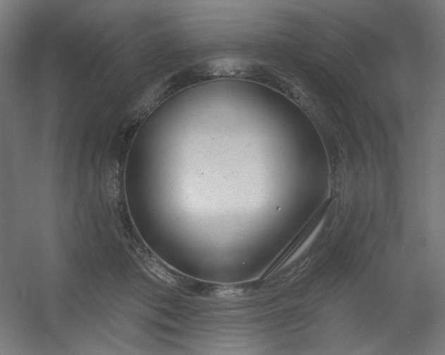 X0000054360413200508121519