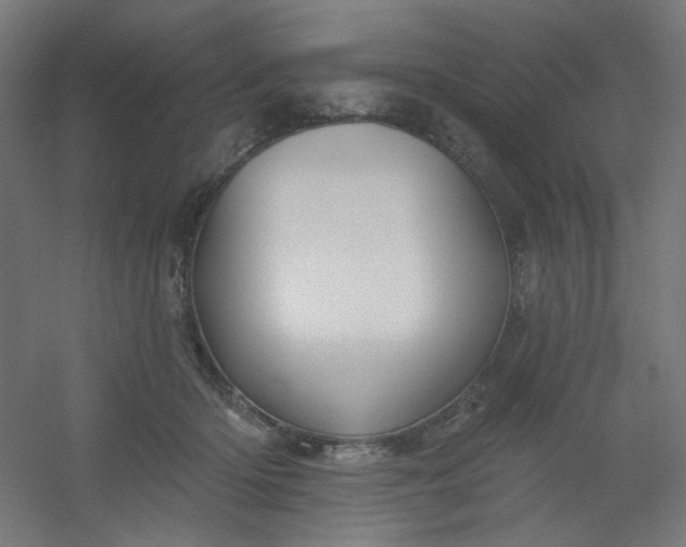 X0000054360414200508121519