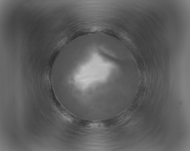 X0000054360415200508121519