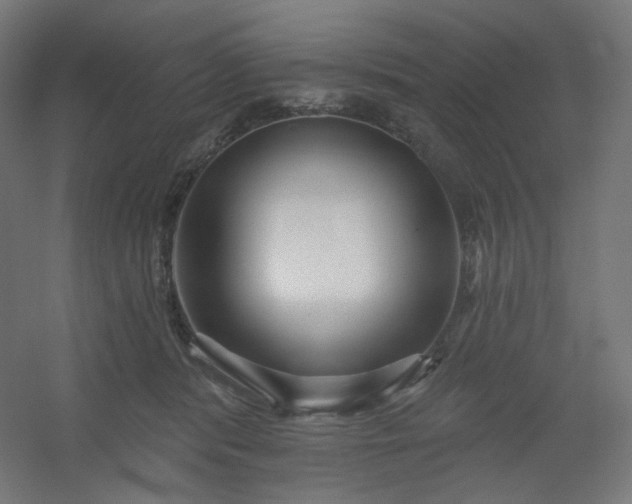 X0000054360416200508121519