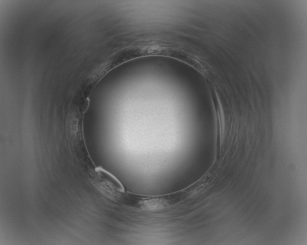 X0000054360417200508121519