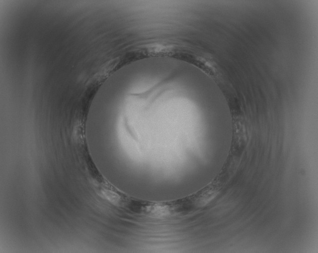 X0000054360419200508121519