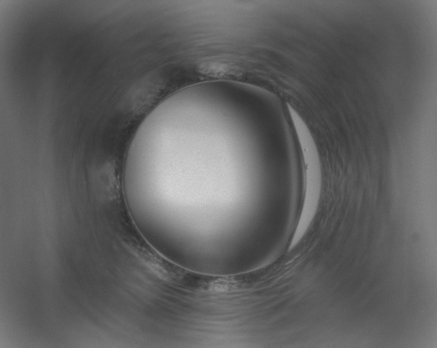 X0000054360420200508121519