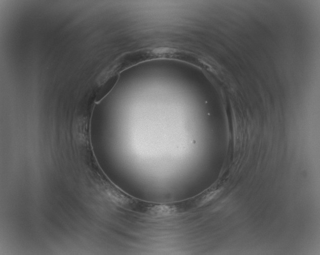 X0000054360421200508121519