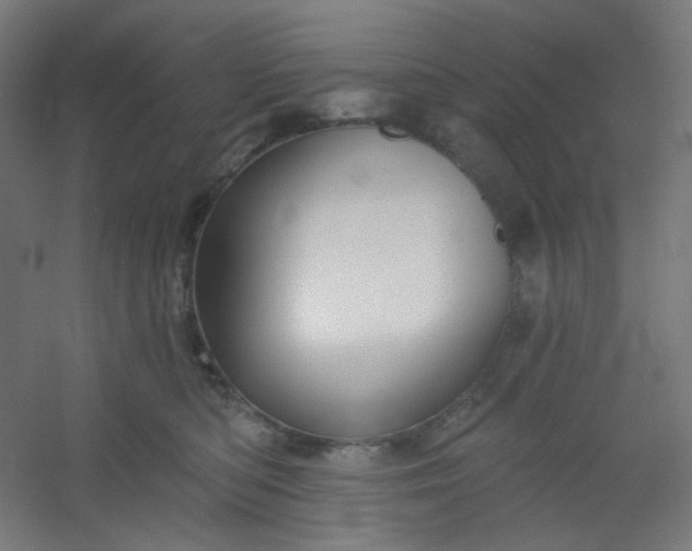 X0000054360422200508121519