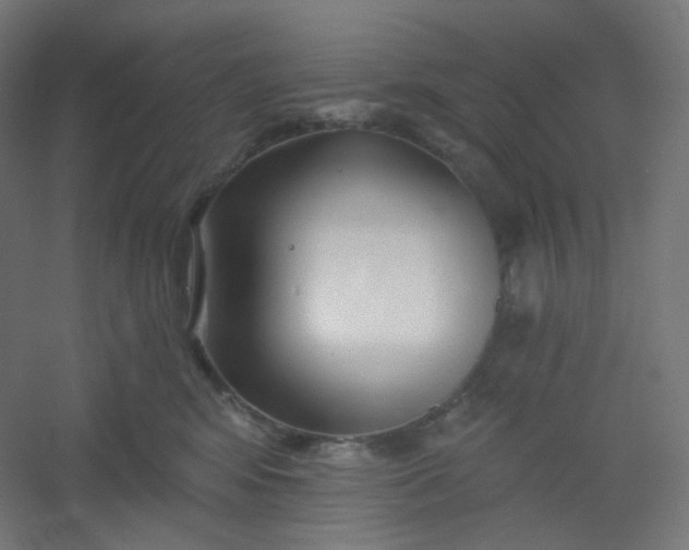X0000054360424200508121519