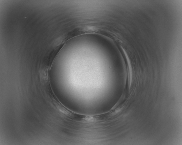 X0000054360425200508121519