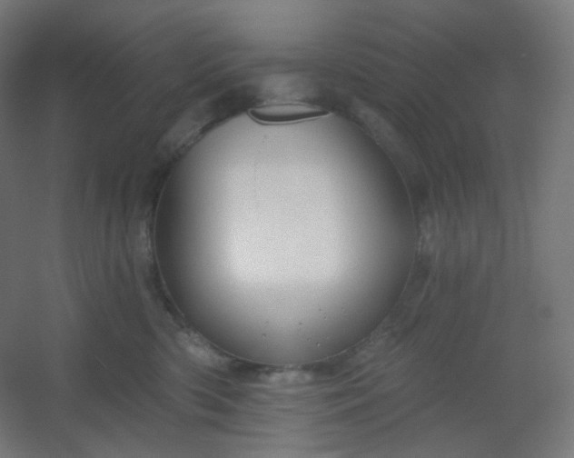 X0000054360426200508121519