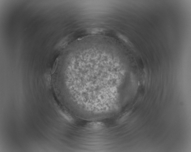 X0000054360427200508121519