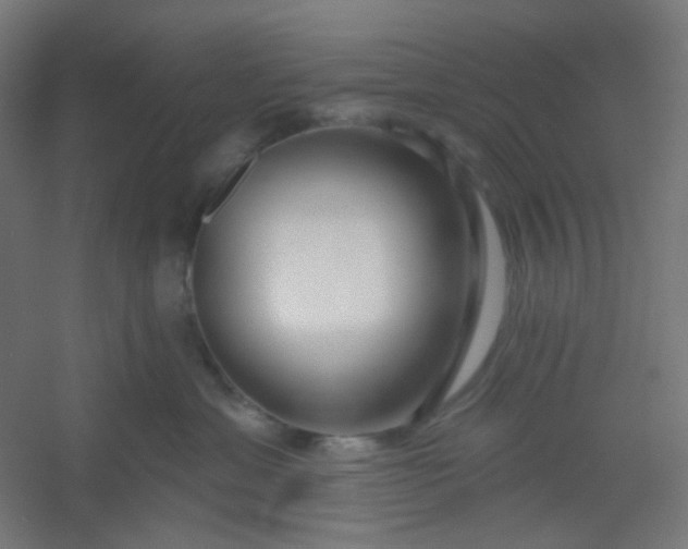 X0000054360429200508121519