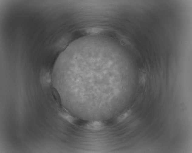 X0000054360431200508121519