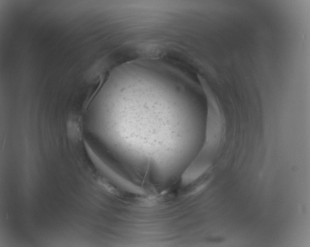 X0000054360432200508121519
