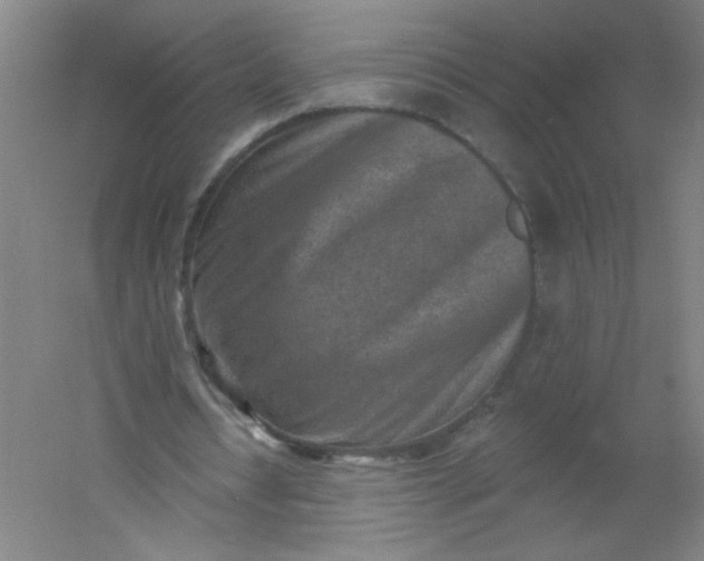X0000054360434200508121518