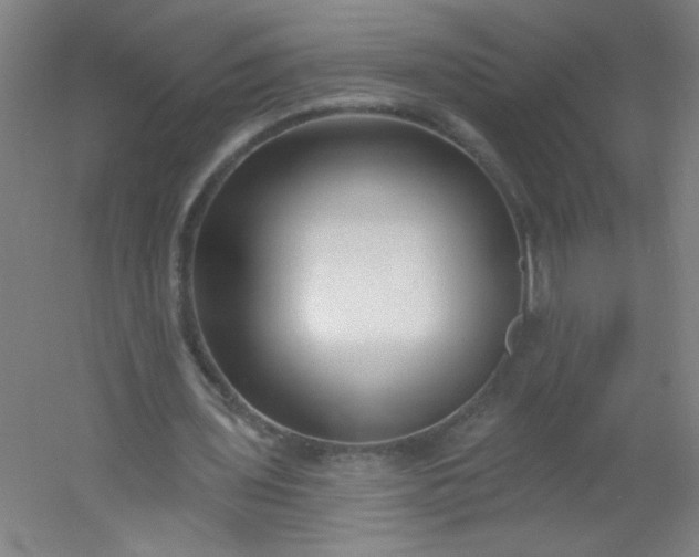 X0000054360435200508121518