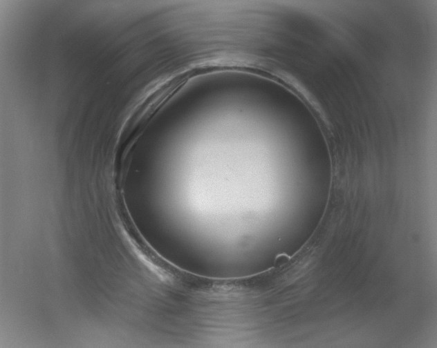 X0000054360437200508121518