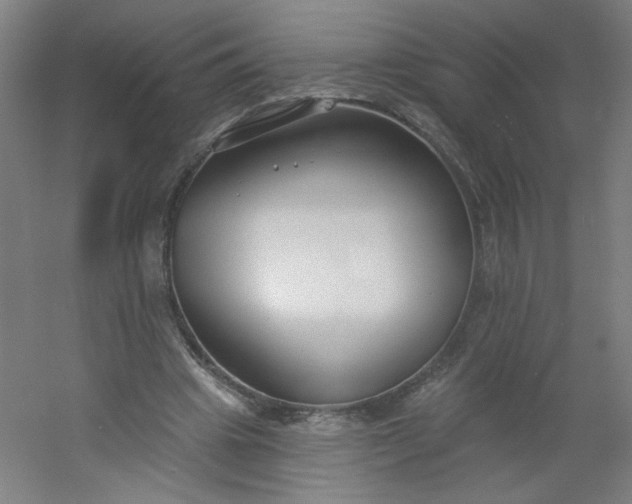 X0000054360441200508121518