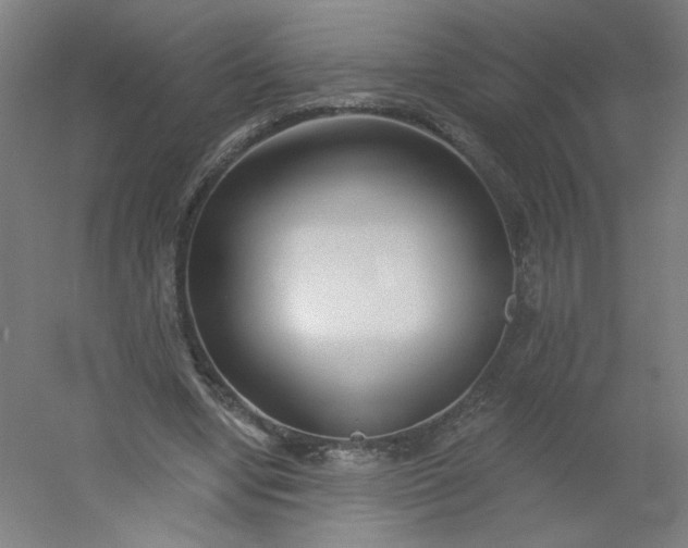 X0000054360442200508121518