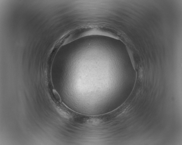 X0000054360444200508121518