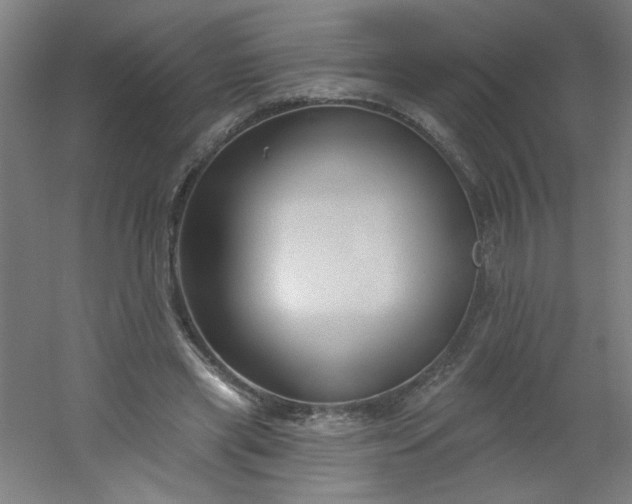 X0000054360445200508121518