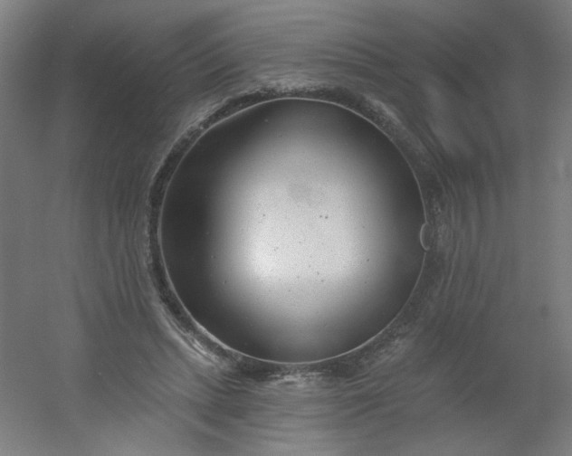 X0000054360447200508121518