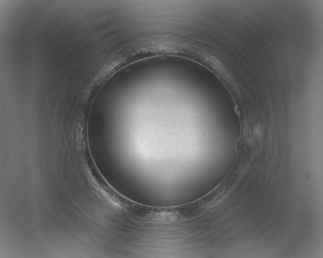 X0000054360449200508121518