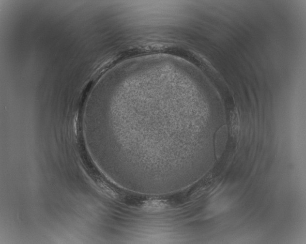 X0000054360451200508121518