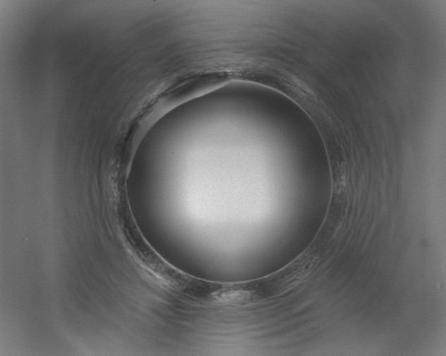 X0000054360452200508121518