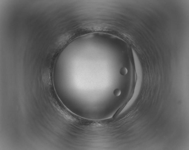X0000054360453200508121518