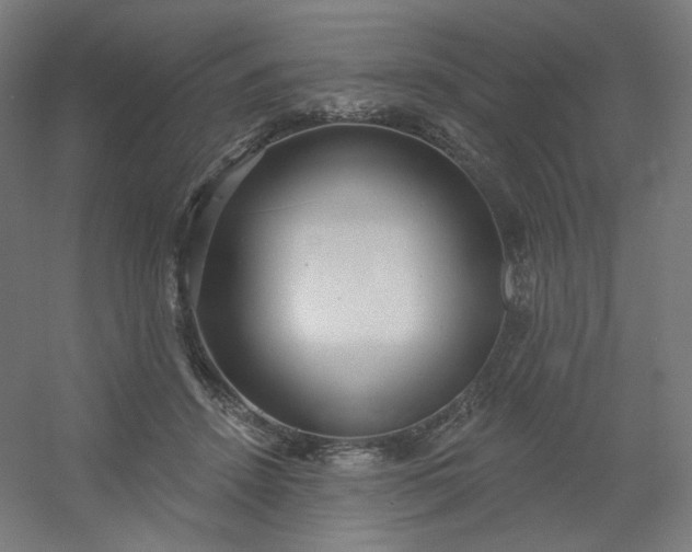 X0000054360456200508121518