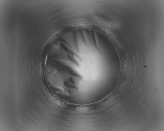 X0000054360457200508121518