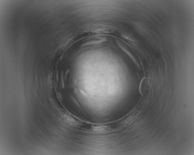 X0000054360461200508121518