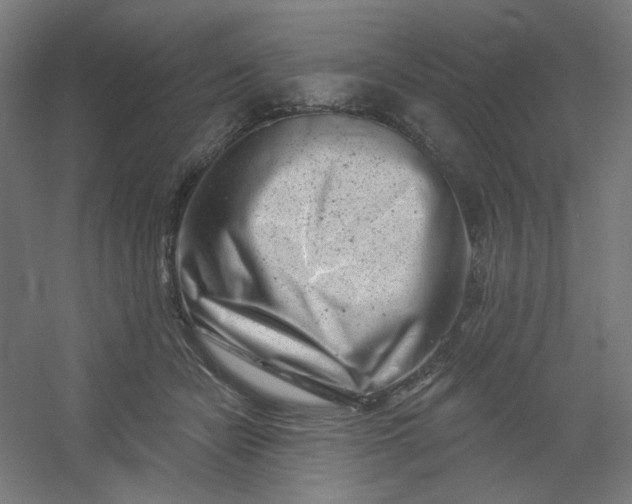 X0000054360462200508121518