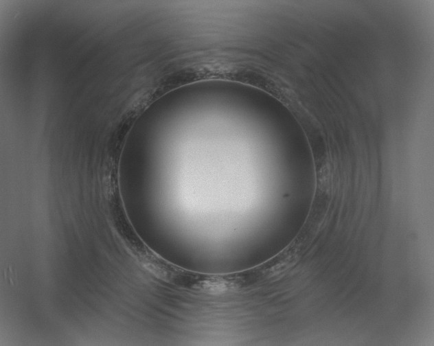 X0000054360464200508121518